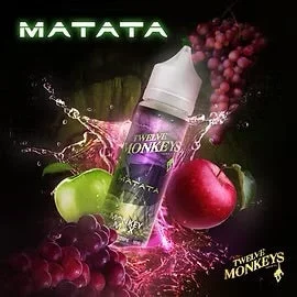 12 monkeys x Flavour beast Matata Purpule GrapexGreen Apple