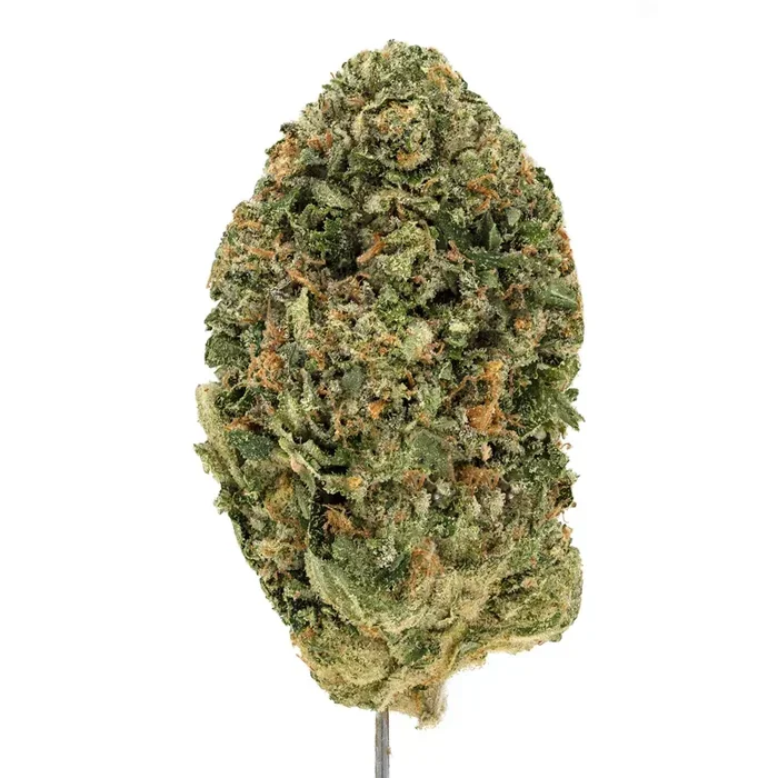 Gas Face Strain